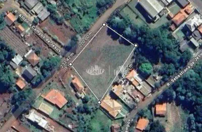 Terreno à venda, 3933 m² por r$ 800.000,00 - centro - tamarana/pr
