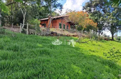 Sítio à venda, 217800 m² por r$ 3.200.000,00 - distrito de maravilha - londrina/pr