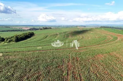 Fazenda à venda, 4065600 m² por r$ 32.000.000,00 - zona rural - cornélio procópio/pr