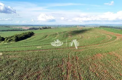 Fazenda à venda, 4065600 m² por r$ 32.000.000,00 - zona rural - cornélio procópio/pr