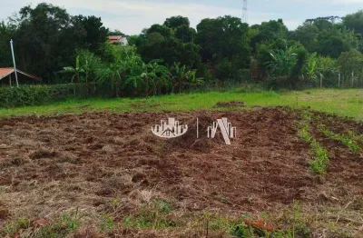 Chácara à venda, 1000 m² por r$ 120.000,00 - área rural  - londrina/pr