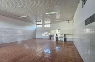 Barracão para alugar, 295 m² por r$ 4.500,00/mês - nossa senhora de lourdes - londrina/pr