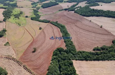 Sítio à venda, 452540 m² por r$ 6.000.000,00 - rodovia - sertanópolis/pr