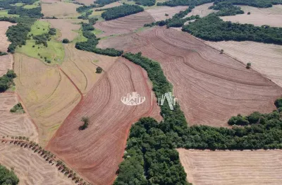 Sítio à venda, 452540 m² por r$ 6.000.000,00 - rodovia - sertanópolis/pr