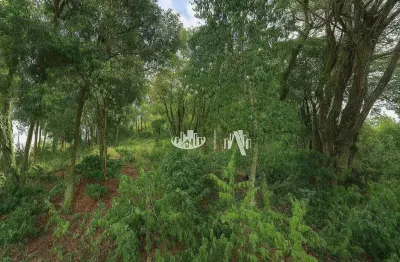 Terreno à venda, 5559 m² por r$ 450.000,00 - chácaras são miguel - londrina/pr