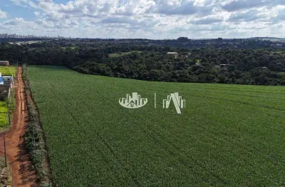 Área à venda, 94767 m² por r$ 5.500.000,00 - parque industrial buena vista - londrina/pr