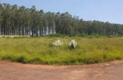 Terreno à venda, 2698 m² por R$ 400.000,00 - Jardim Ana Eliza  - Sabáudia/PR