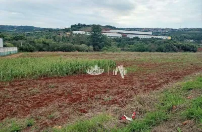 Área à venda, 26467 m² por r$ 5.800.000,00 - industrial - londrina/pr