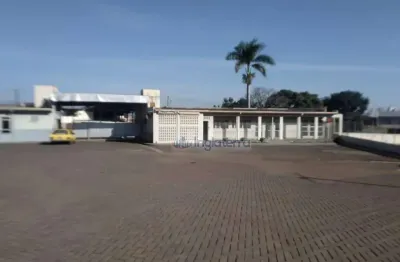 Galpão para alugar, 2000 m² por r$ 75.000,00/mês - igapó - londrina/pr