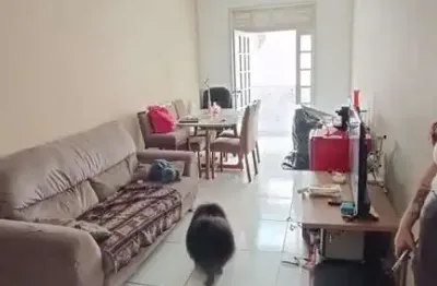 Apartamento com 2 quartos à venda na Praia da Costa, Vila Velha 