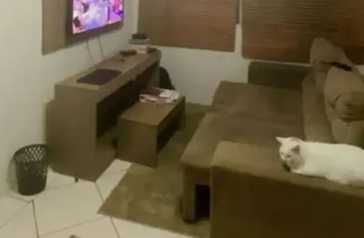 Apartamento com 2 quartos à venda na rua carlos gomes, 68, tucuruvi, são paulo por r$ 320.000
