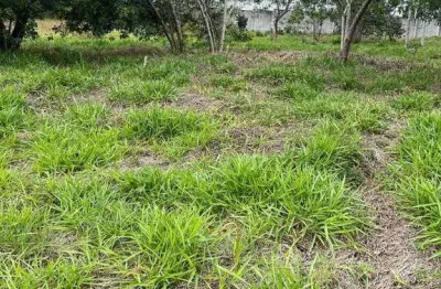 Terreno à venda, 1172 m² por r$ 411.000,00 - condomínio reserva ibirapitanga - santa isabel/sp