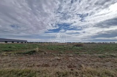 Terreno à venda no Loteamento Centro Empresarial Leste II, Uberlândia 