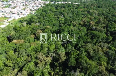 Terreno comercial à venda na Enseada, Guarujá 