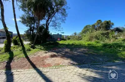 Terreno à venda na Rua Quinze de Novembro, 6407, Vila Nova, Joinville
