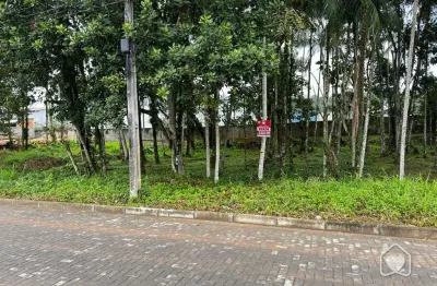 Terreno à venda na Rua Quinze de Novembro, 24941, Vila Nova, Joinville