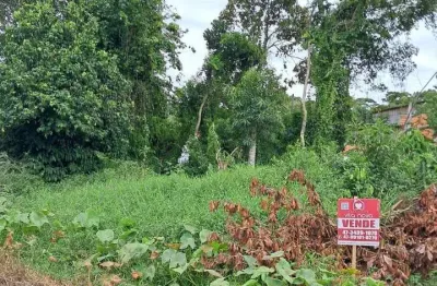 Terreno à venda na Loteamento Balneário Corina, 28598, Centro, Balneário Barra do Sul