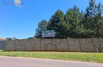 Terreno para alugar, 9500 m² por r$ 4.500,00/mês + taxas - umbará - curitiba/pr