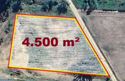 Terreno comercial para alugar no Centro, Ilhota 