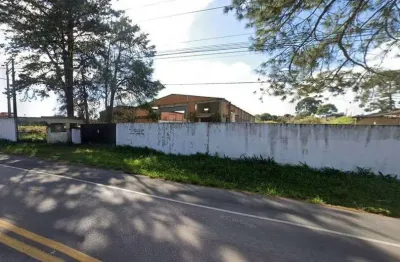 Terreno à venda, 10.000 m² por r$ 8.000.000,00 - miringuava - são josé dos pinhais/pr