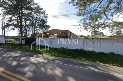 Terreno à venda, 10.000 m² por r$ 8.000.000,00 - miringuava - são josé dos pinhais/pr