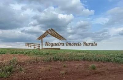 Fazenda à venda na Área Rural de Avaré, Avaré 