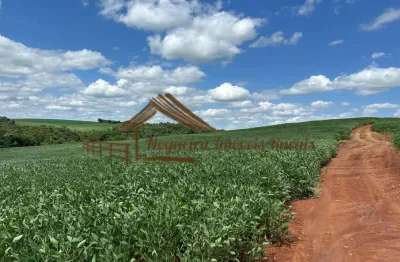 Fazenda à venda no Zona Rural, Guapirama 