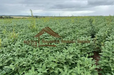 Fazenda para venda em itapetininga, área rural de itapetininga
