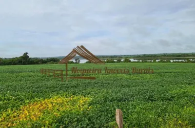 Fazenda para venda em araguaína, área rural de araguaína