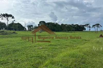 Chácara / sítio à venda na Área Rural de Avaré, Avaré 