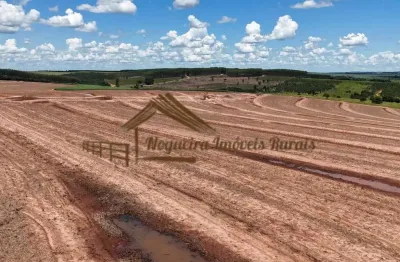 Fazenda à venda na Área Rural, Área Rural de Avaré, Avaré