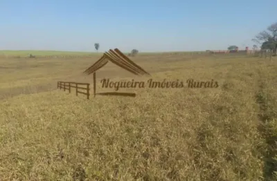Chácara / sítio à venda na Zona Rural, Conchas 