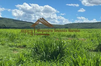 Fazenda à venda na Zona Rural, Quirinópolis 