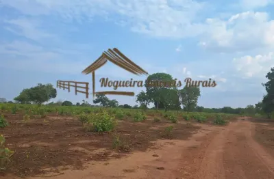 Fazenda à venda na Avenida Vereador Juliano da Costa Marques, Bela Vista, Cuiabá