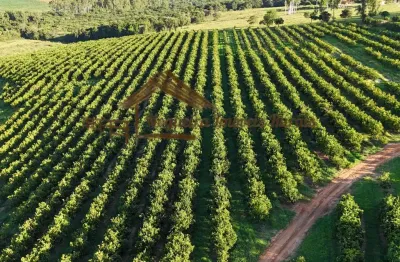 Fazenda à venda na Zona Rural, Ubirajara 