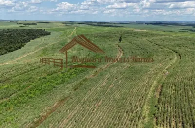 Fazenda à venda na Área Rural, Área Rural de Avaré, Avaré