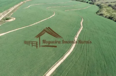 Fazenda à venda na Zona Rural, Porto Feliz 