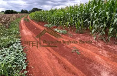 Chácara / sítio à venda na Zona Rural, Cesário Lange 