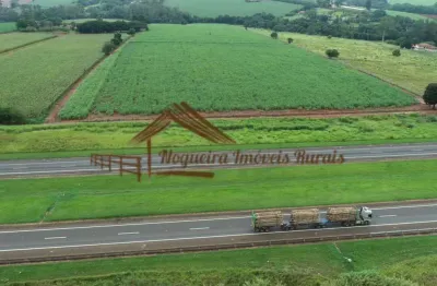 Chácara / sítio à venda na Área Rural de Tatuí, Tatuí 