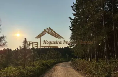 Fazenda para venda em itapetininga, área rural de itapetininga