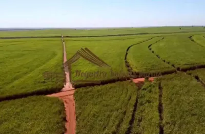 Fazenda para venda em pereira barreto, área rural de pereirra barreto