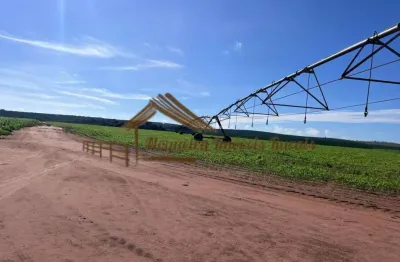 Fazenda à venda na Área Rural de Avaré, Avaré 