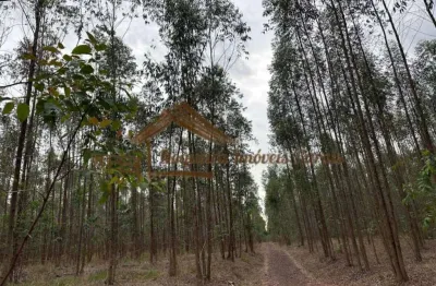 Fazenda à venda na Zona Rural, Botucatu 