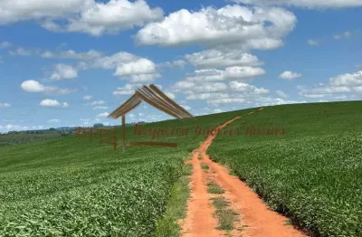 Fazenda à venda na Zona Rural, Carlópolis 