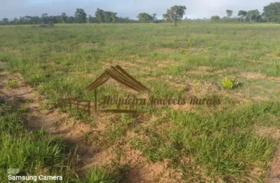 Fazenda à venda na Zona Rural, Pedro Gomes 