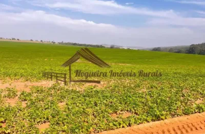 Fazenda à venda na Área Rural de Avaré, Avaré 