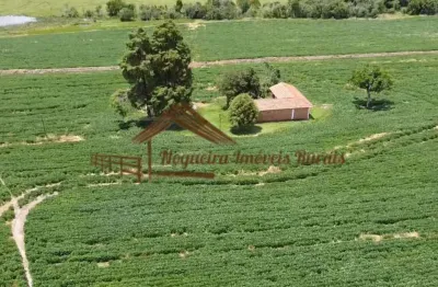 Chácara / sítio à venda na Área Rural de Avaré, Avaré 