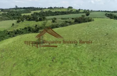 Chácara / sítio à venda na Zona Rural, Cesário Lange 