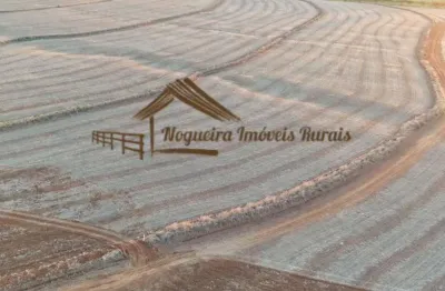 Chácara / sítio à venda na Zona Rural, Quadra 