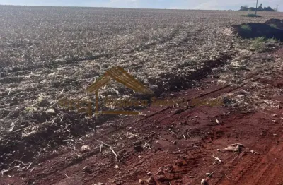 Chácara / sítio à venda na Área Rural de Ourinhos, Ourinhos 